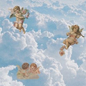 Meet your Posher, Annie